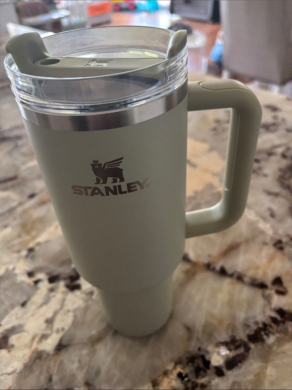 Stanley Matte Sage Green Travel Mug with Handle